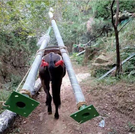 邵阳骡马运输队