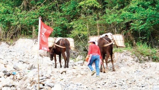 邵阳骡子运输队