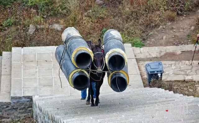 邵阳马帮运输